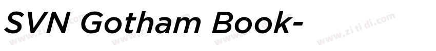 SVN Gotham Book字体转换